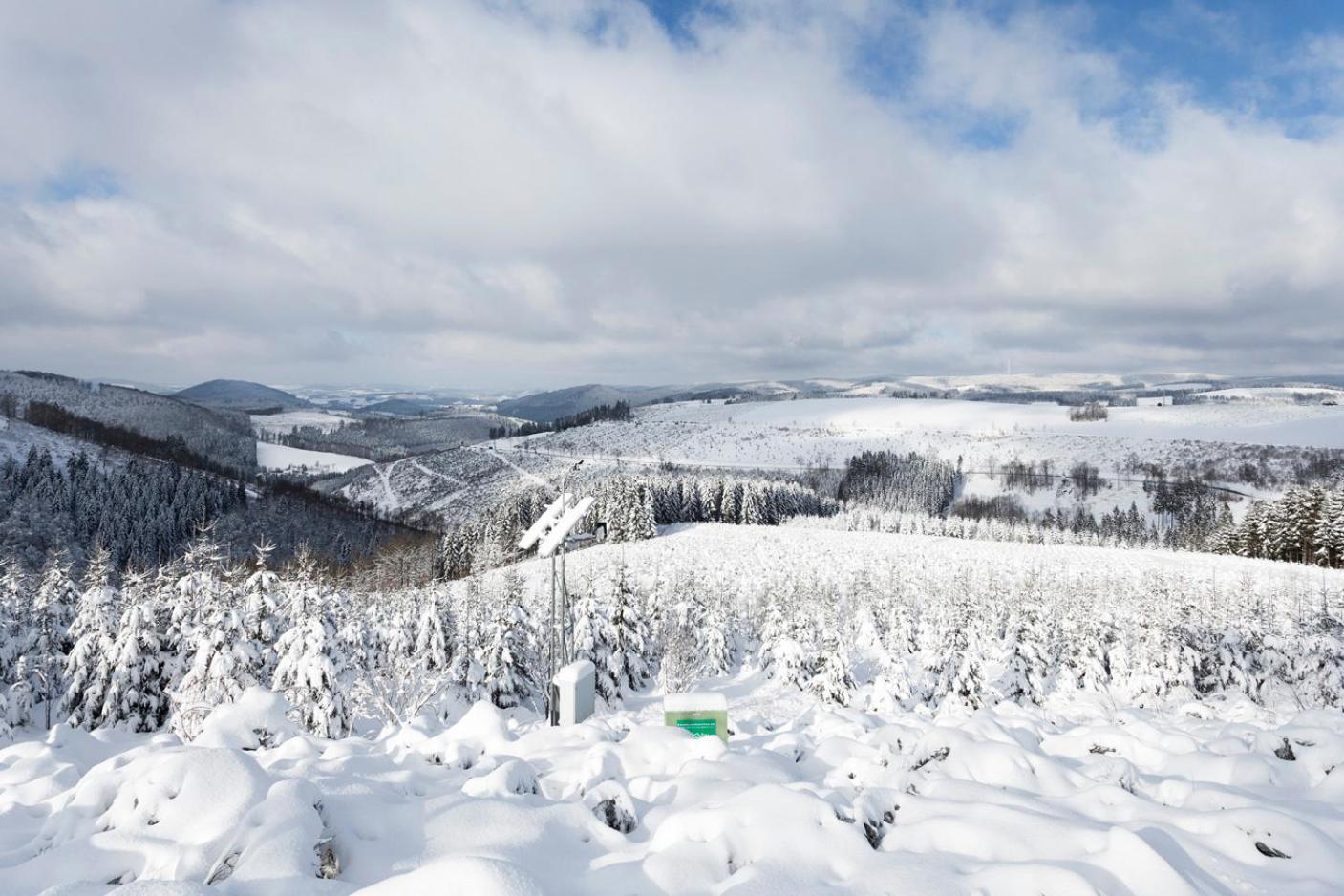 Am Finkenbusch Aan De Skipiste Willingen  Eksteriør bilde